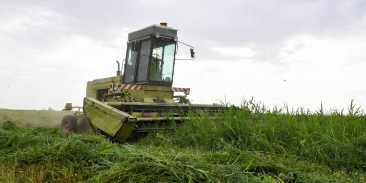 Фото: Алматы облысының әкімдігі