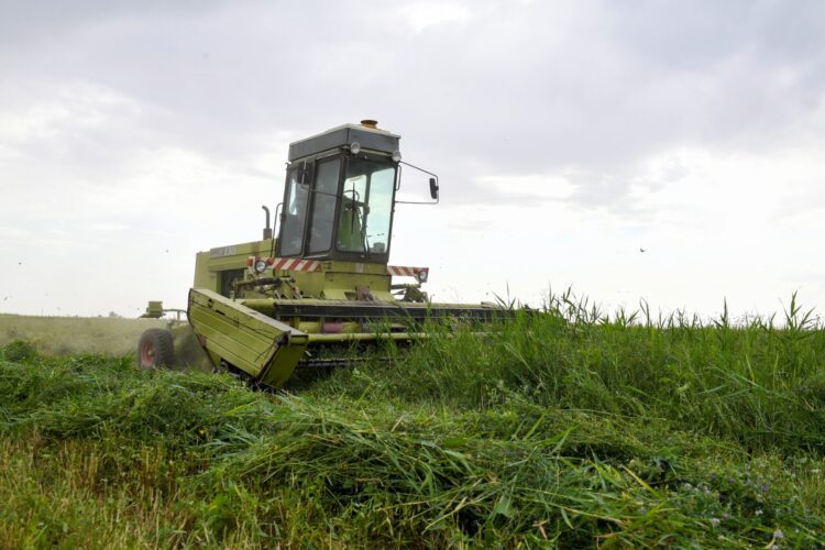 Фото: Алматы облысының әкімдігі