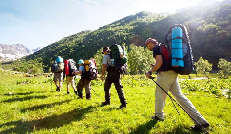 Фото: ашық дереккөзден