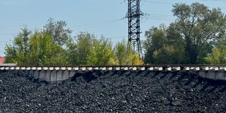 Фото: Қонаев қаласының әкімдігі