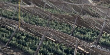 Фото: Дамир Нұрқасым