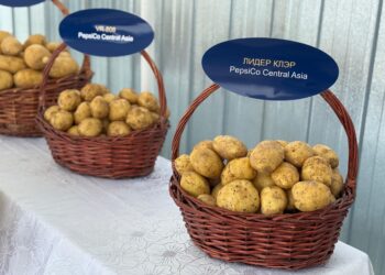 Фото: Дамир Нұрқасым