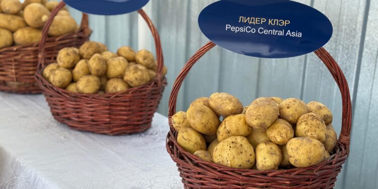 Фото: Дамир Нұрқасым