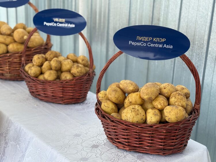 Фото: Дамир Нұрқасым