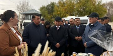 Фото: Балнұр Асанова