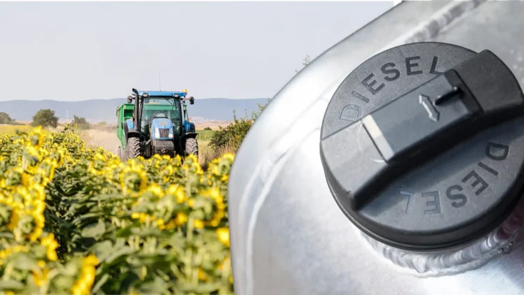 Фото: kz.kursiv.media