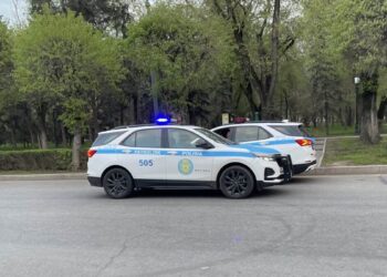 https://bizmedia.kz/2023-08-29-dosaevu-pozhalovalis-na-bezdejstvuyushhih-policzejskih-v-parkah-almaty/