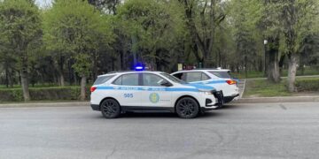 https://bizmedia.kz/2023-08-29-dosaevu-pozhalovalis-na-bezdejstvuyushhih-policzejskih-v-parkah-almaty/